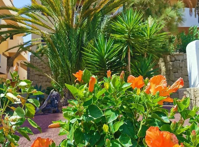 Apartment Rayo San Miguel de Abona