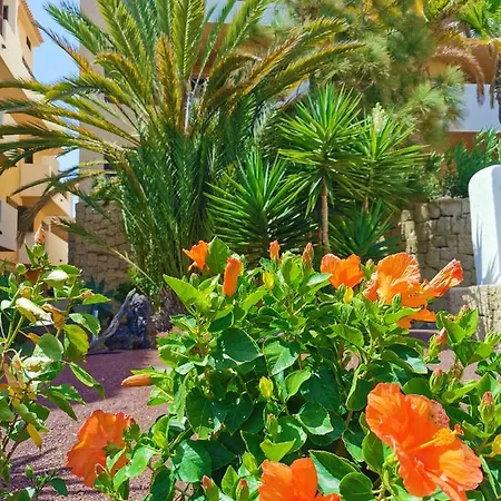 Appartement Rayo San Miguel de Abona